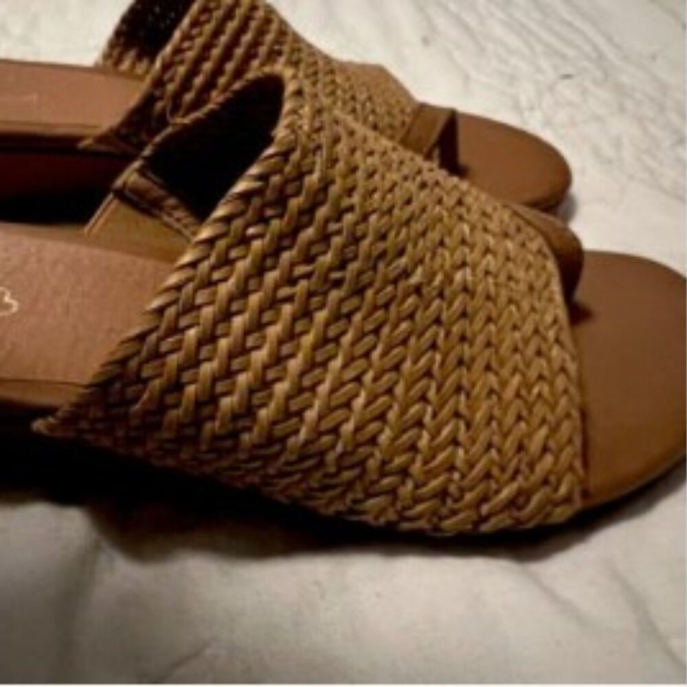 Baretraps Woven Slip on Wedge Sandal